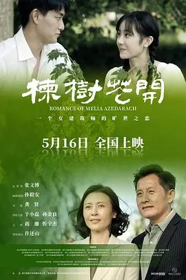 楝树花开