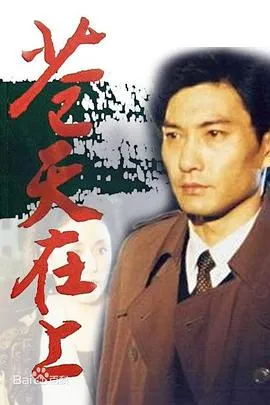 苍天在上1995[电影解说]