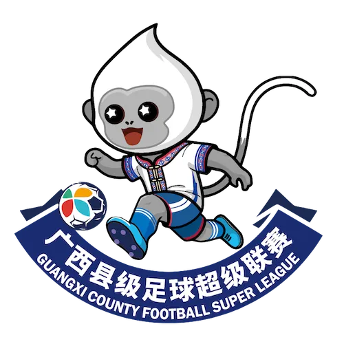 广西县级足球超级联赛 桂林市灵川县队0-1柳州市柳南区队20260207