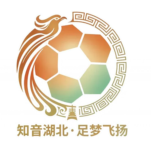 湖北省城市足球联赛 孝感孝傲江湖队VS武汉华工科技队20260718