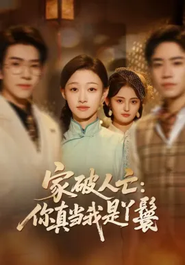 家破人亡：你真当我是丫鬟啊