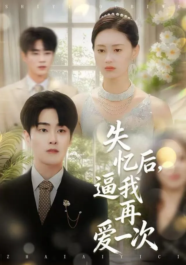 失忆后，逼我再爱一次