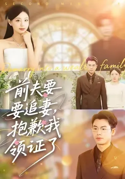前夫要追妻，抱歉我领证了