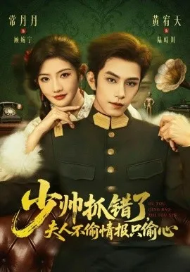 少帅抓错了，夫人不偷情报只偷心