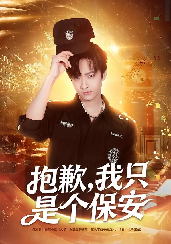 抱歉，我只是个保安
