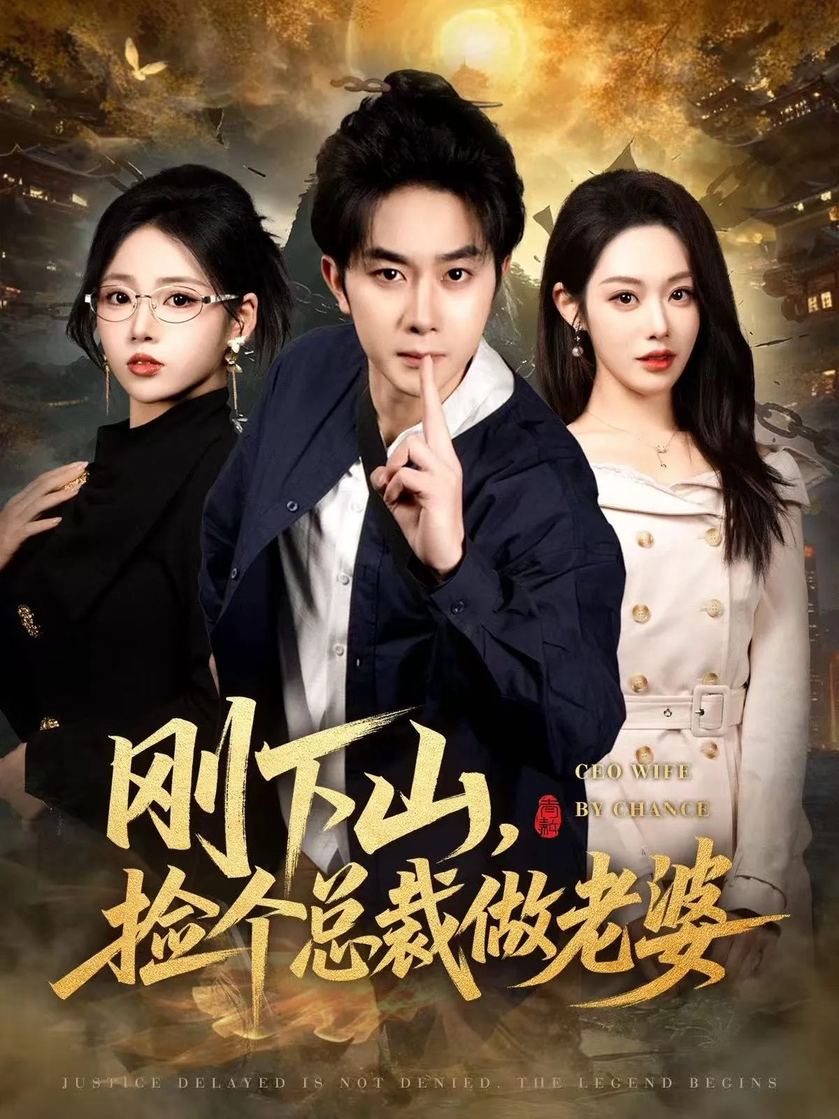 刚下山捡个总裁做老婆
