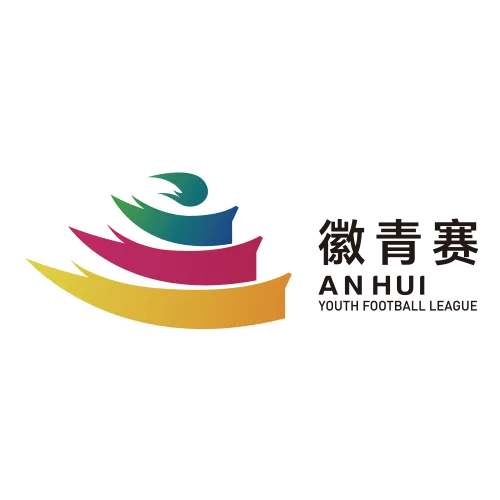 安徽省青少年足球联赛 铜陵VS宣城20260412